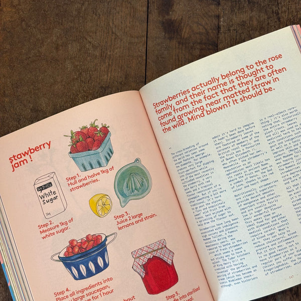 Lunch Lady Magazine #30